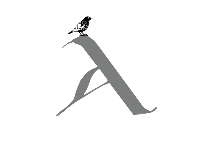 Andrea Casagrande Logo